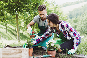 Couple planting flowers in flower pots